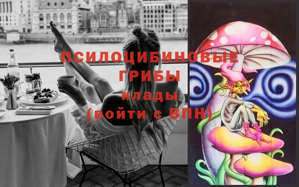 ГАЛЛЮЦИНОГЕННЫЕ ГРИБЫ Михайловск