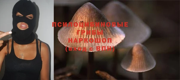 ГАЛЛЮЦИНОГЕННЫЕ ГРИБЫ Михайловск