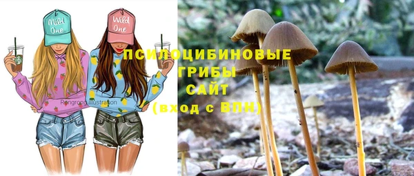 прущий лед Михайловка