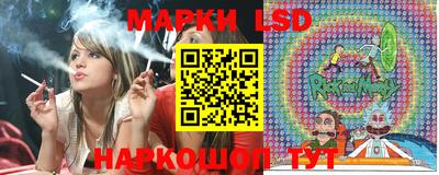 шишки Конаково