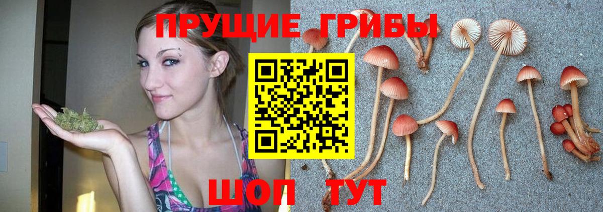 Галлюциногенные грибы Magic Shrooms  Вход с VPN  где продают наркотики  Галлюциногенные грибы мухоморы  Нижний Тагил 