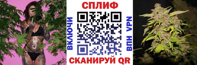 Марихуана ГИДРОПОН  Нижний Тагил 