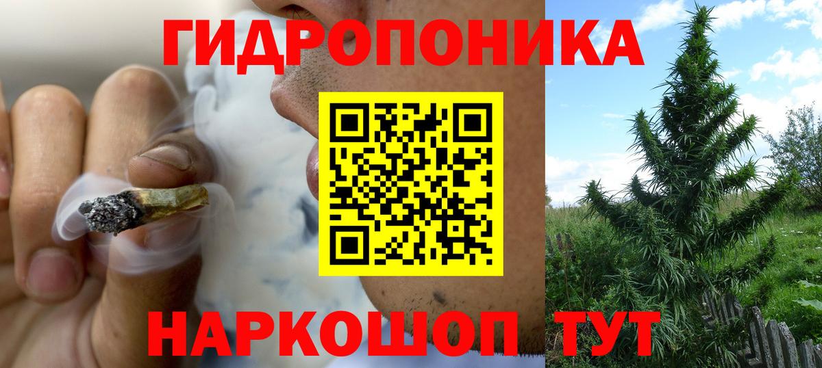 Каннабис сатива  Вход с VPN  Бошки Шишки OG Kush  Нижний Тагил  Бошки марихуана MAZAR 